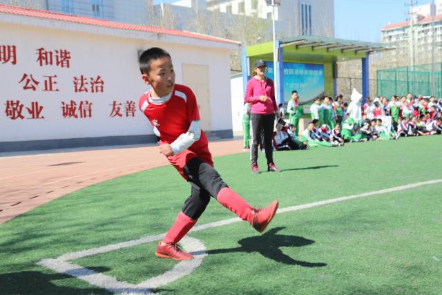 孙颖莎的“泪墙”外号引发日本乒乓球界强烈反响